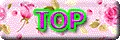 TOPのボタン